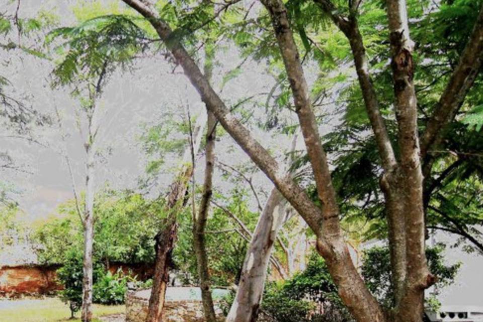 Jardines