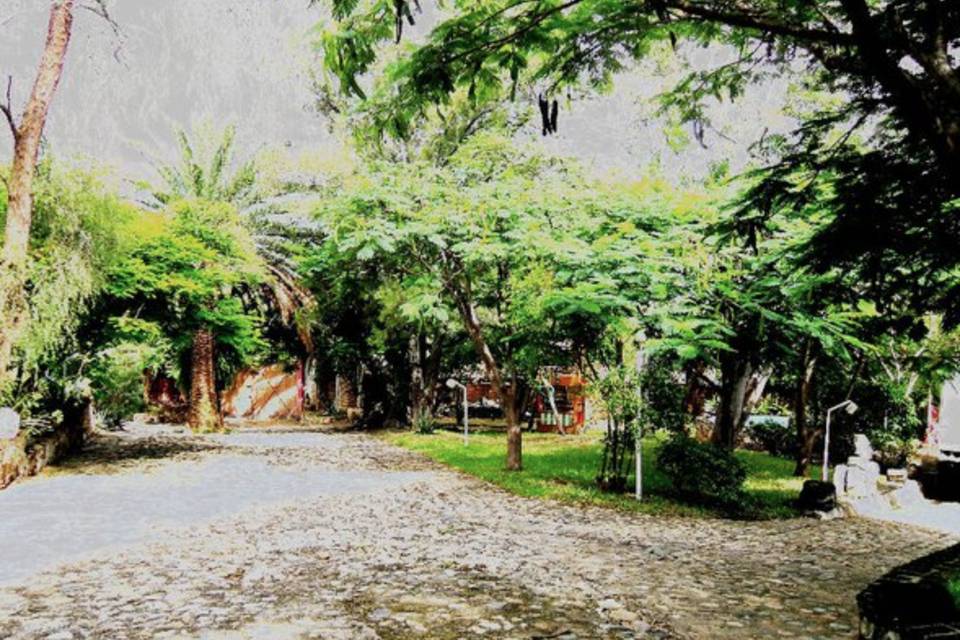 Jardines