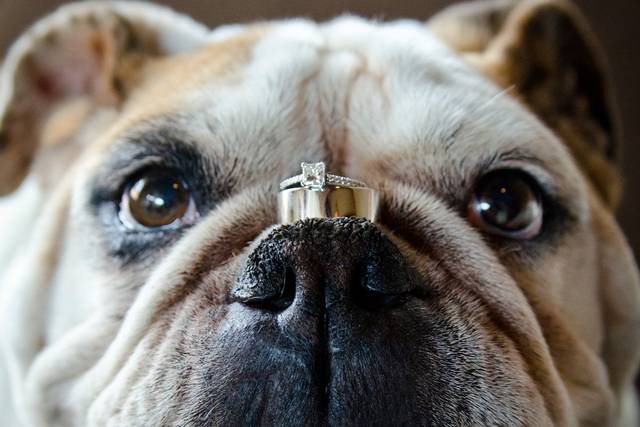 La madrina de anillos