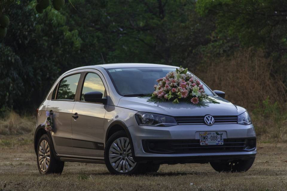 Carro de novios