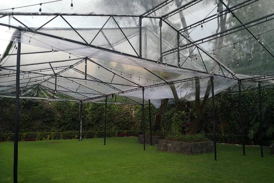 Carpa transparente