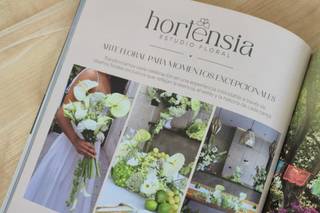 Hortensia Estudio Floral