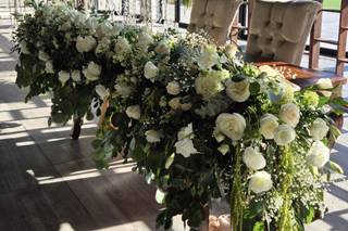 Hortensia Estudio Floral
