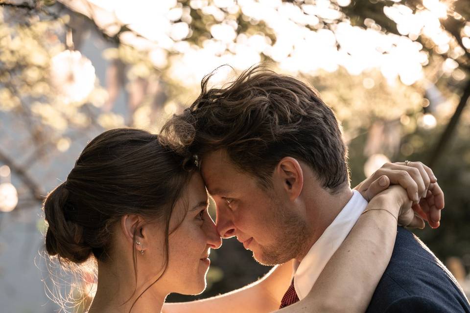 Novios