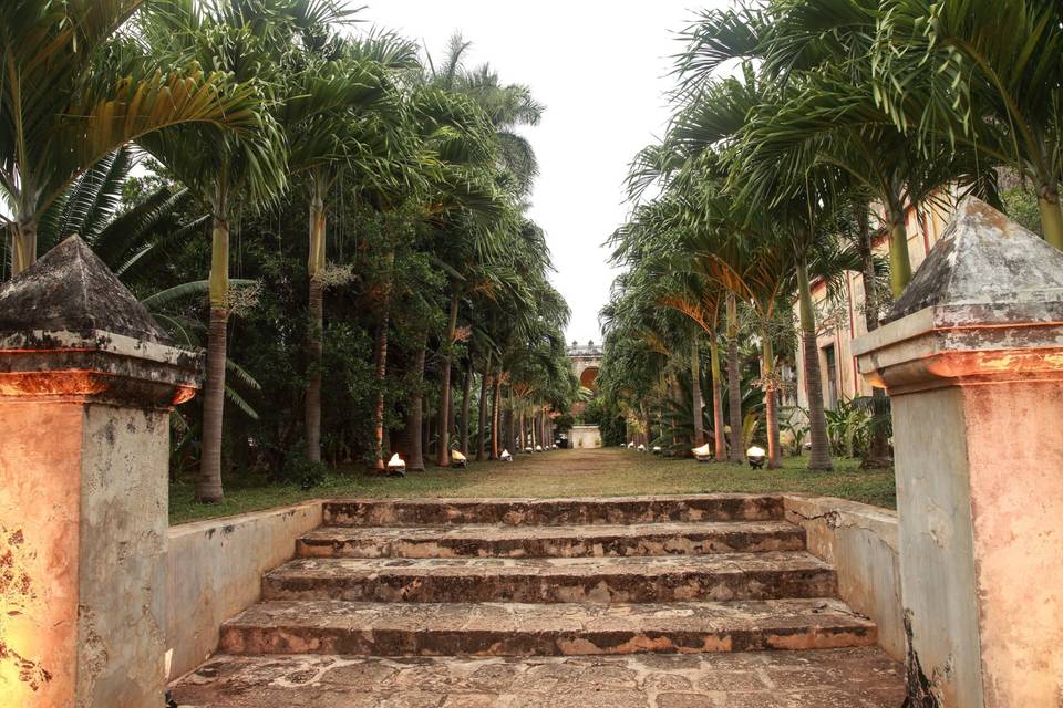 Jardín de la Palmeras