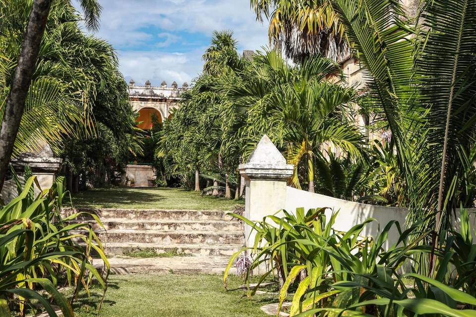 Jardín de las Palmeras