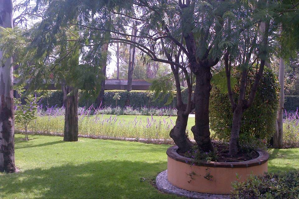 área verde