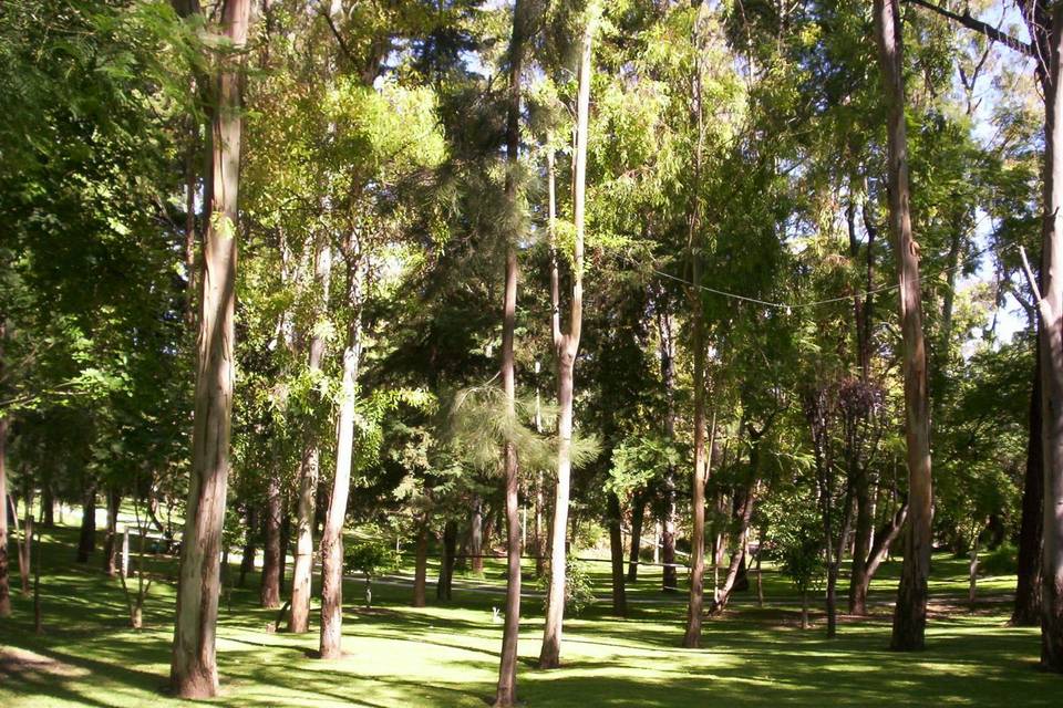 Jardín Los Ciruelos