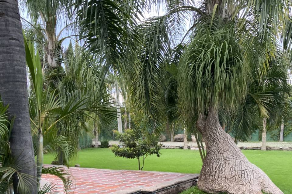 Jardín