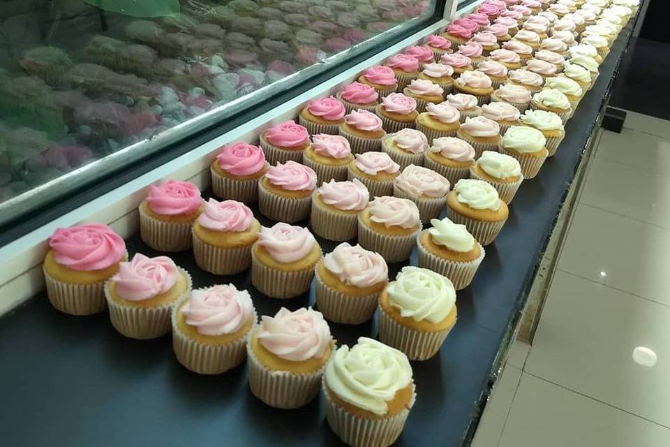 Cupcakes ombre