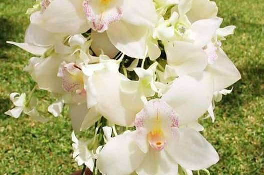 Ramo de orquideas