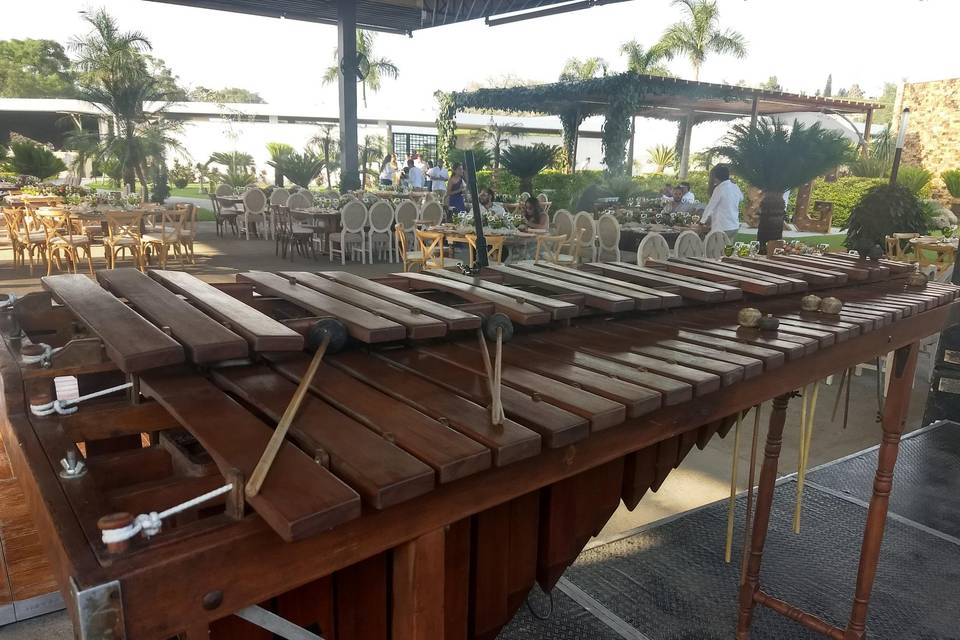 Marimba internacional