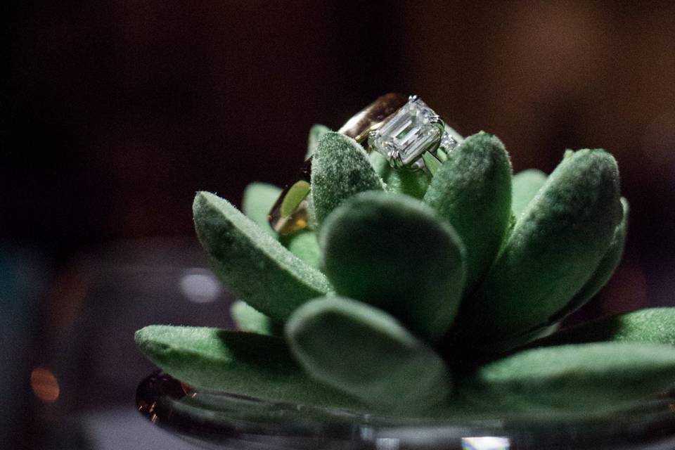 Regina Lux Photography