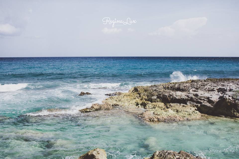 Regina Lux Photography