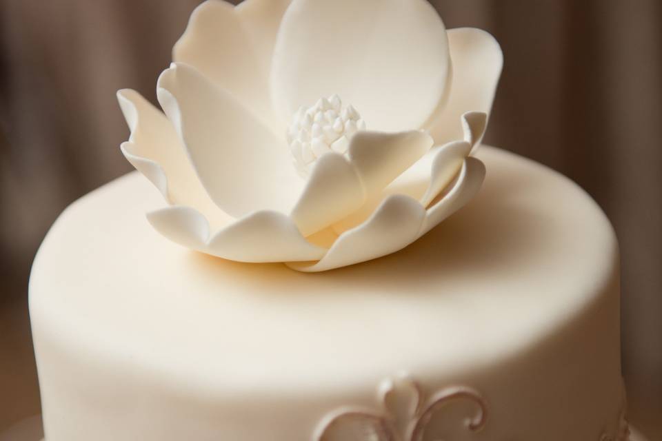 Hermoso pastel blanco
