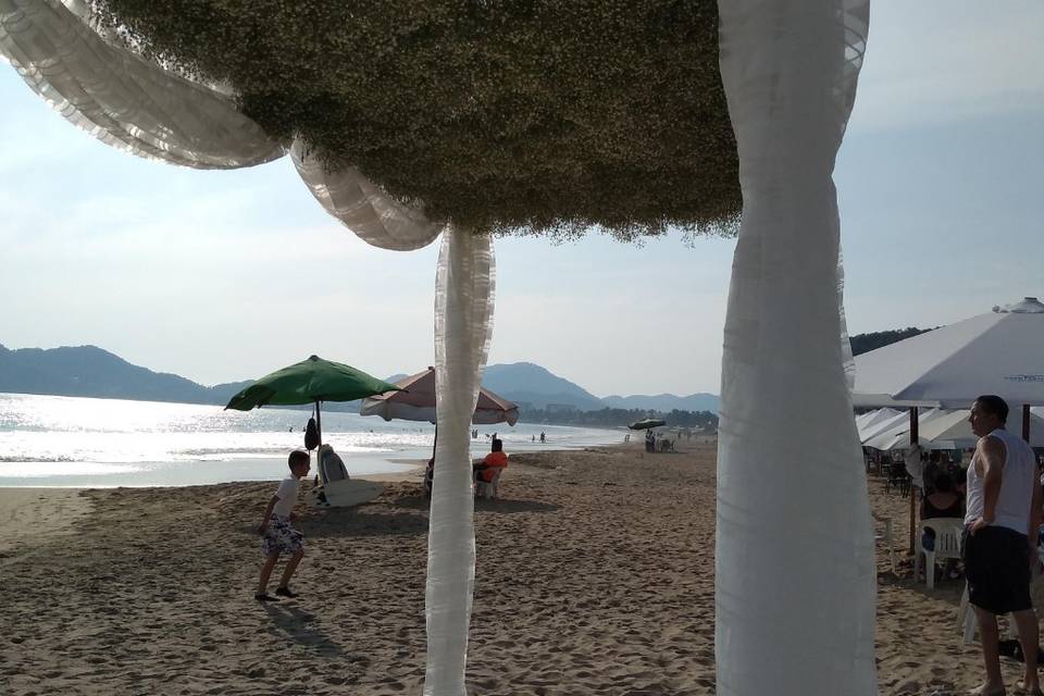 Estructuras
