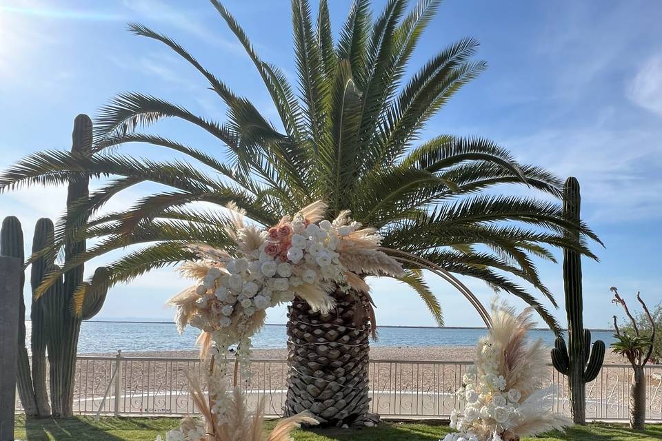BODA DE UNOS NOVIOS MUY COOL