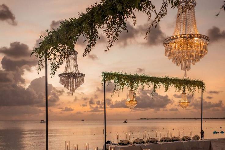 Decoración y plaque