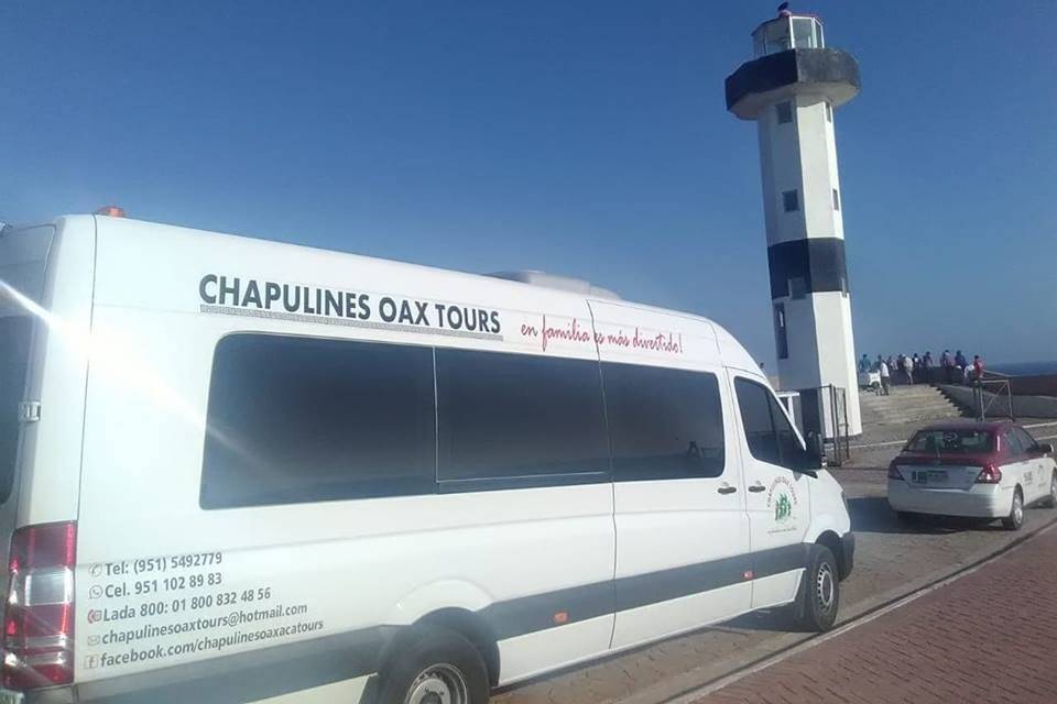 Chapulines Oax Tours