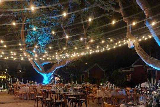 RM Weddings + Events
