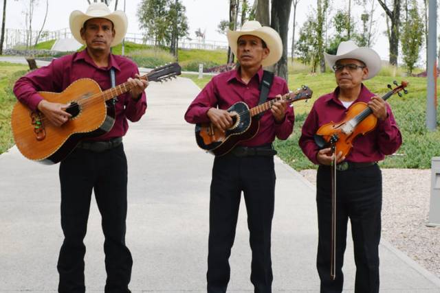 Trío Huasteco Alma Serrana Gaona