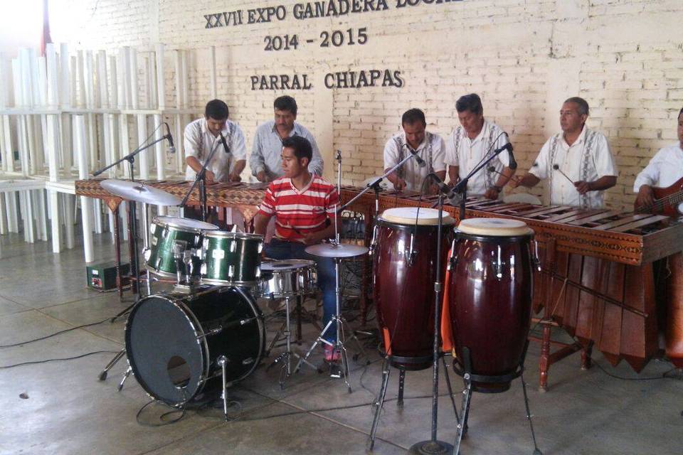 Marimba Orquesta Chiapaneca