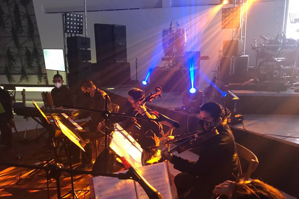 Cuarteto de cuerdas
