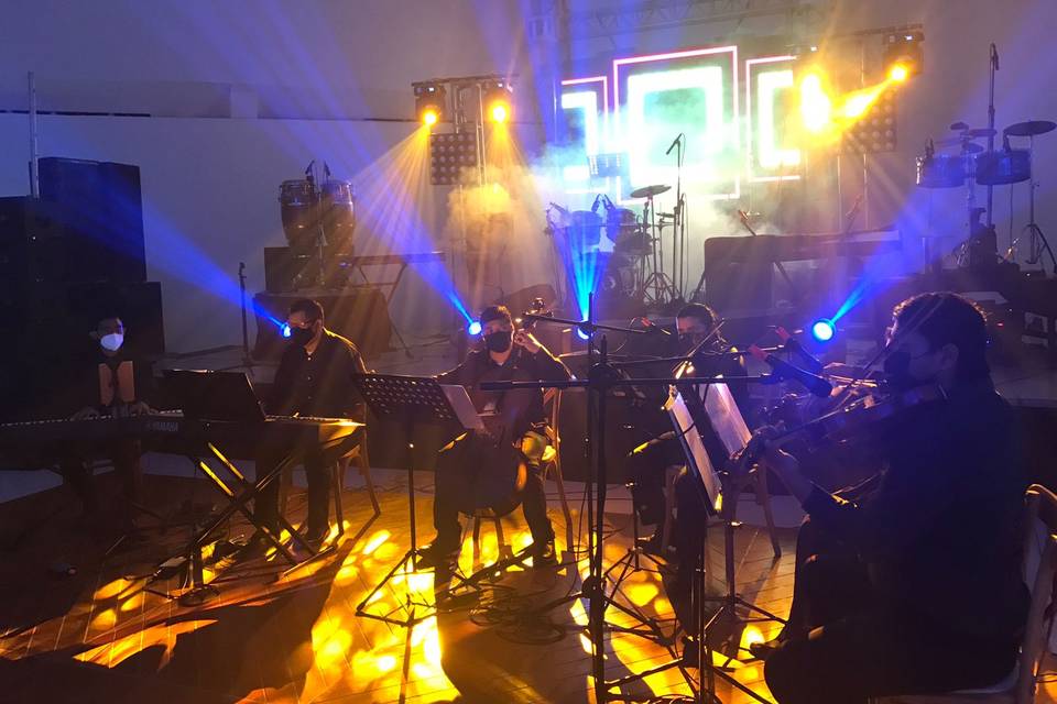 Orquesta de cuerdas