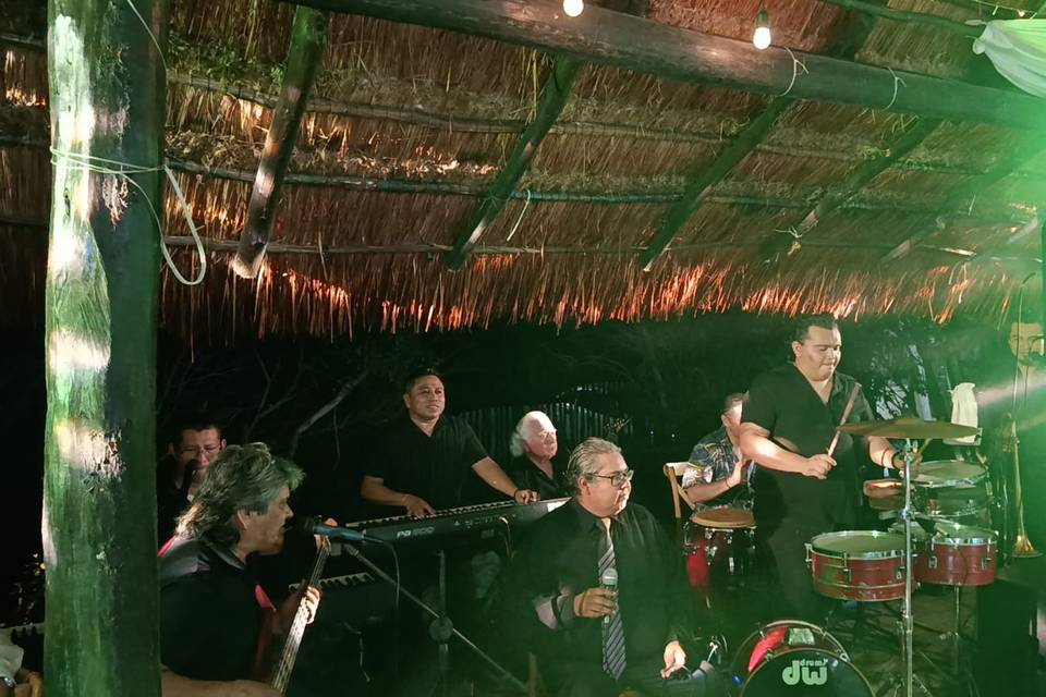 Salsa , merengue y mas