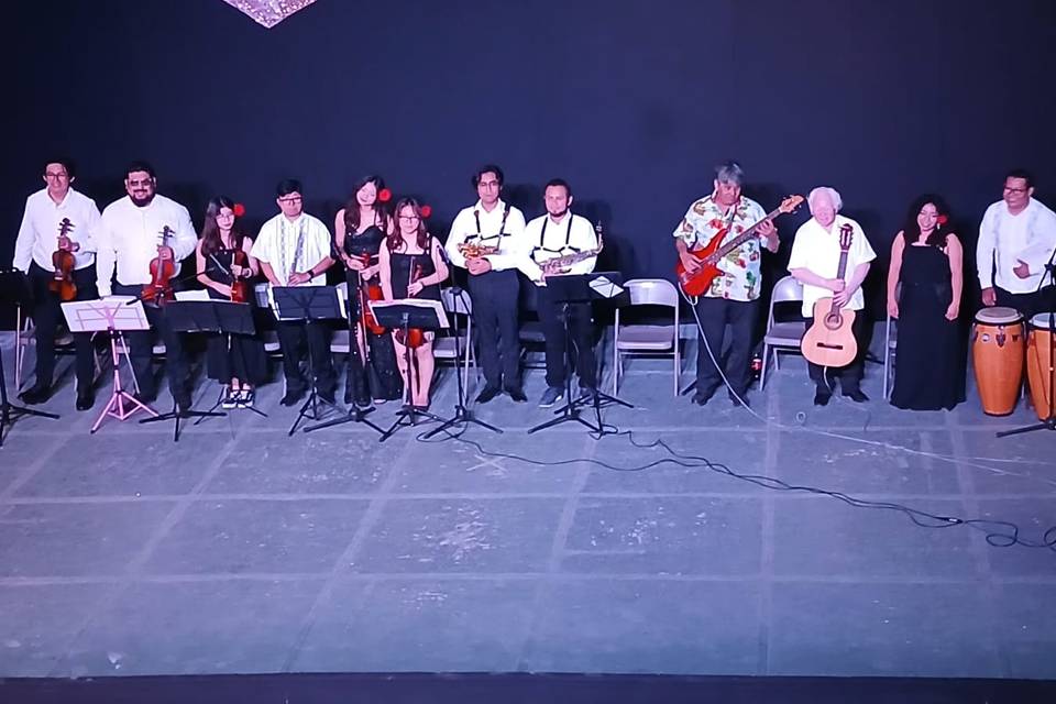 Danzonera