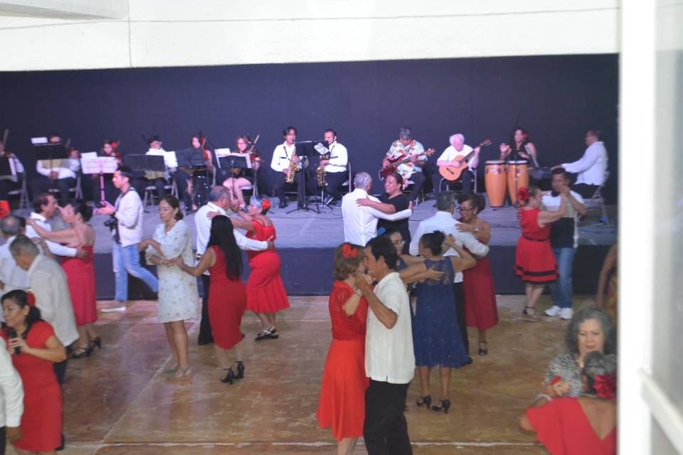 Camerata Versátil