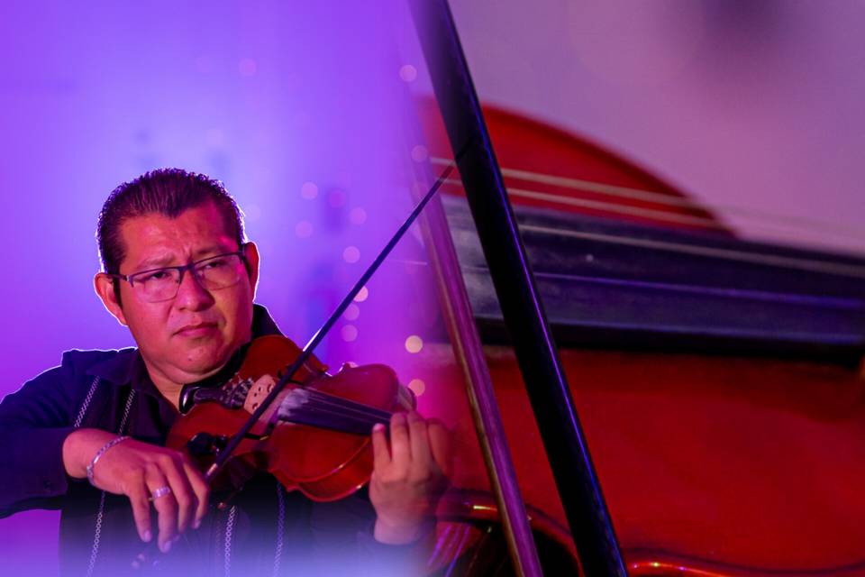 Violinista solista
