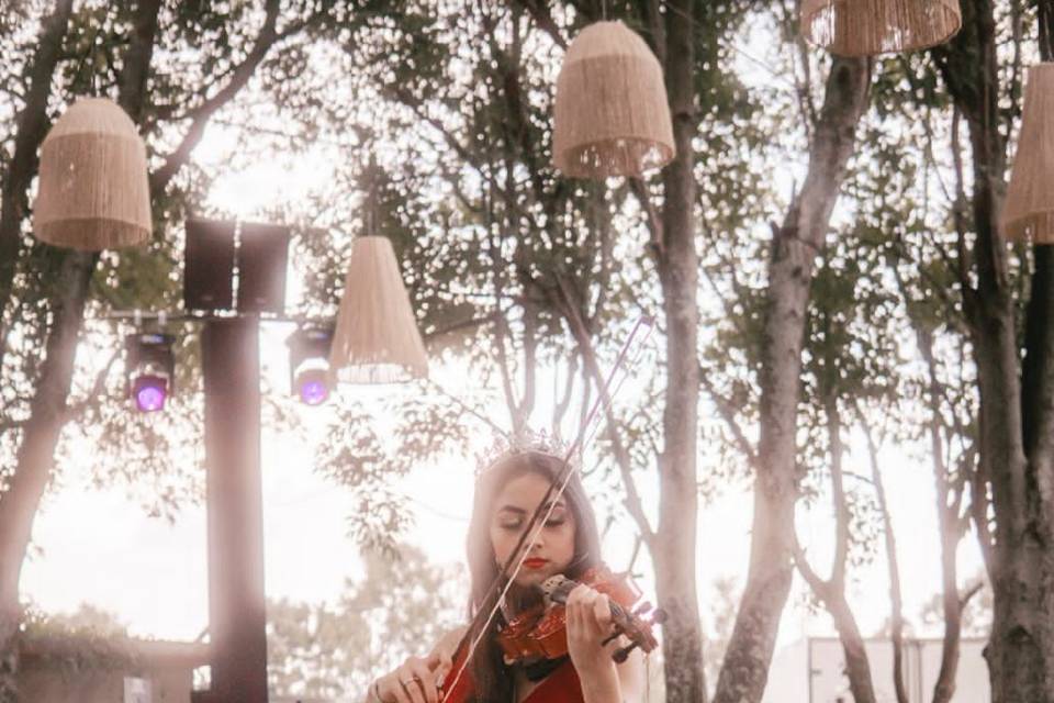 Violinista Tepatitlán