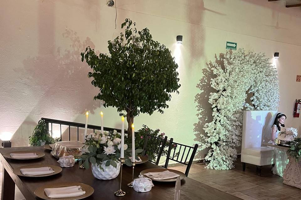 Casa del Carmen Eventos