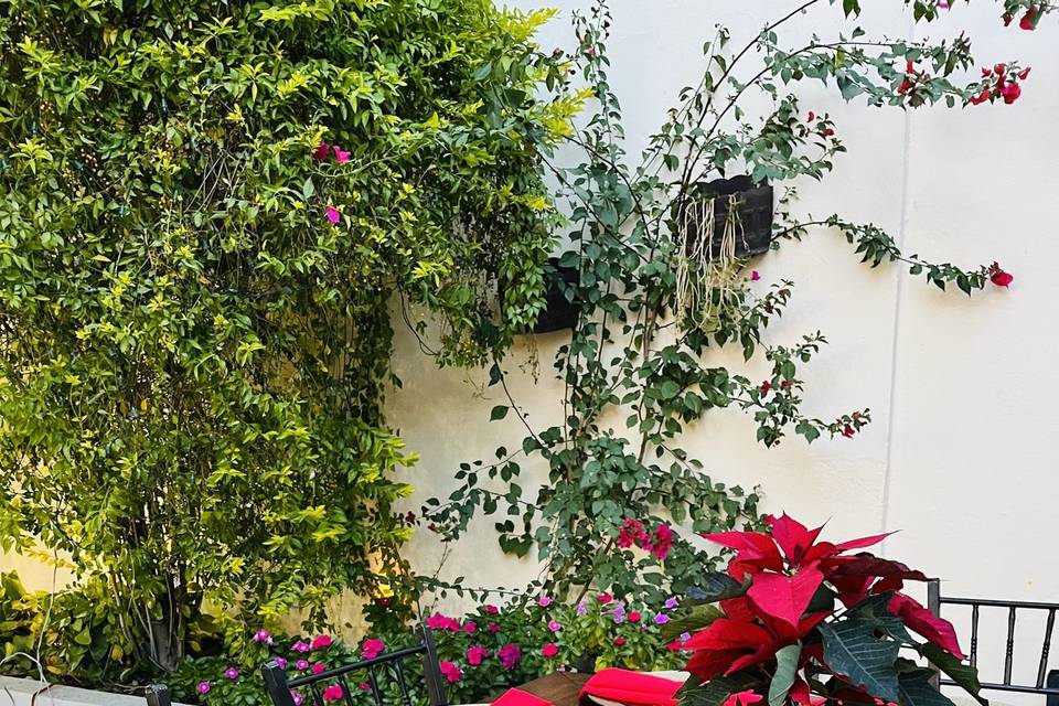 Casa del Carmen Eventos