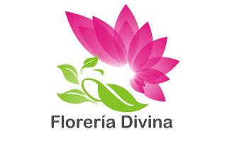 Florería Divina logo
