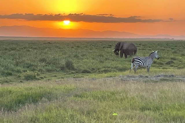 Tanzania