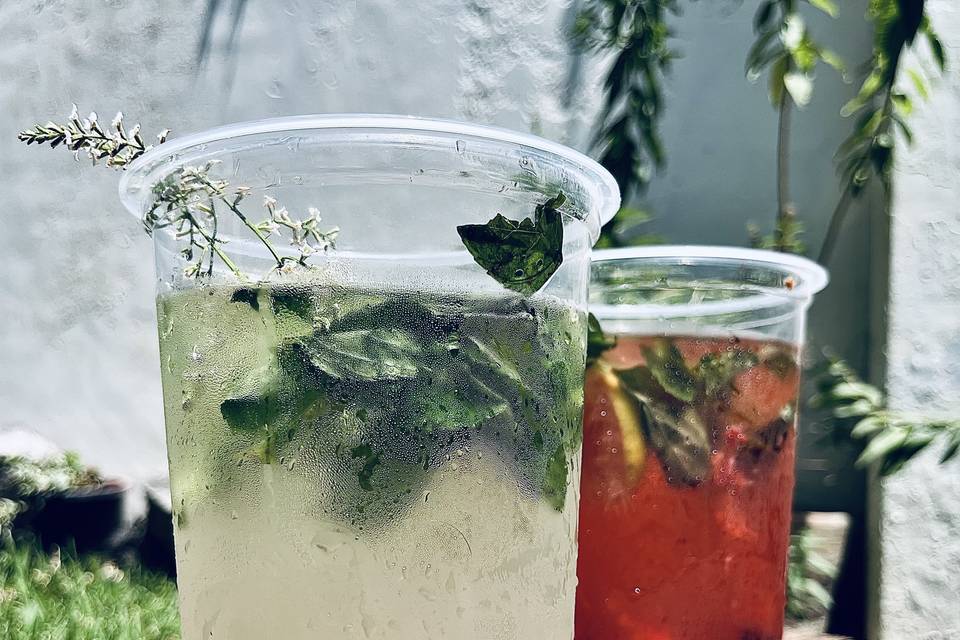 Mojitos despedidas de s