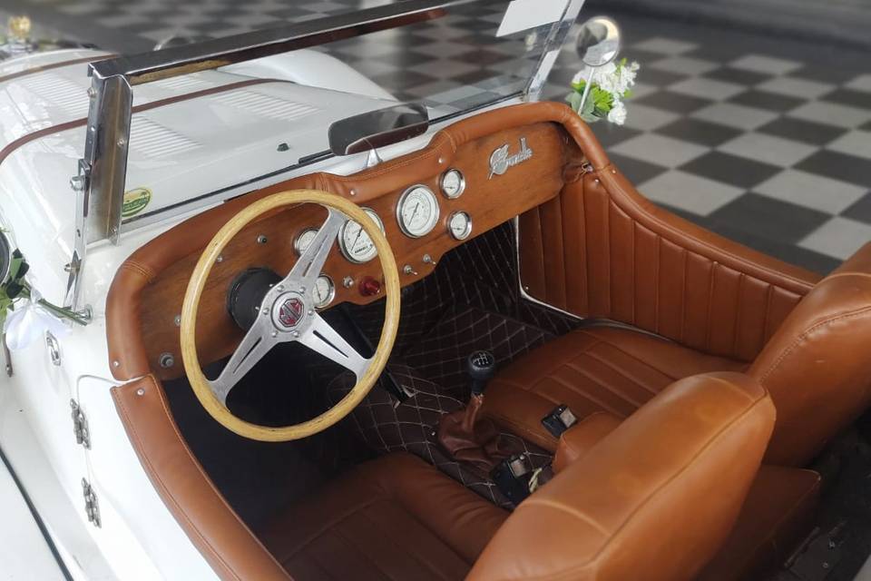 Interior de auto en color café