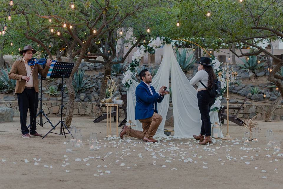 Propuesta de matrimonio