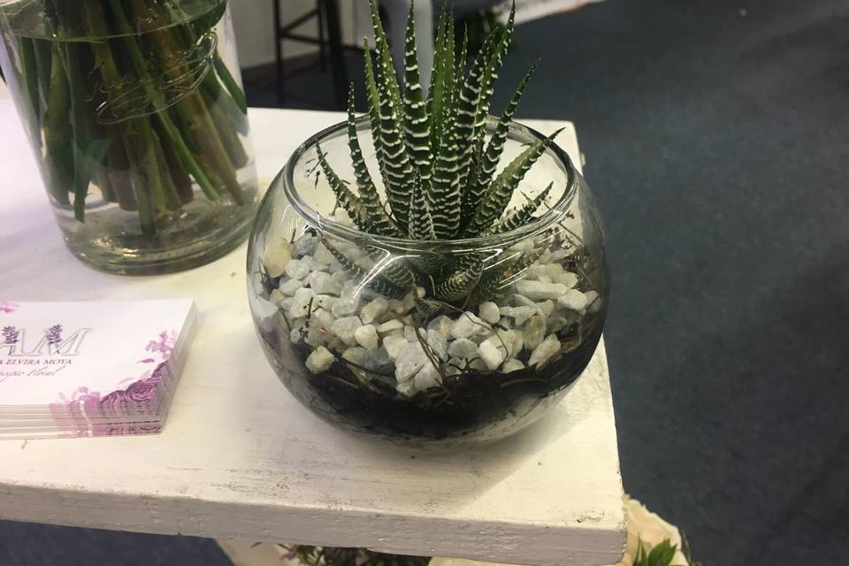 Cactus en cristal