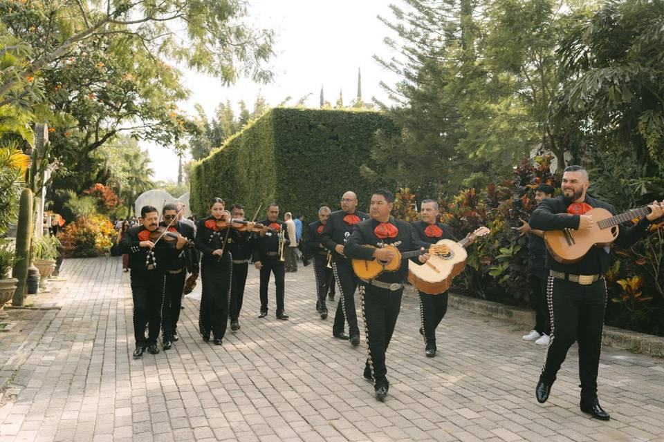 Mariachi