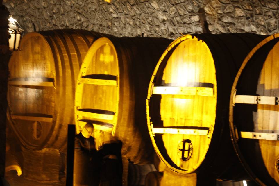 Toneles de la cava