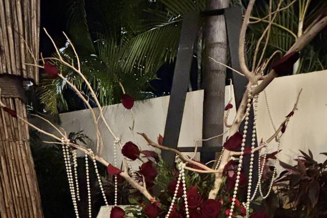 Bubbly Bash Event Planner