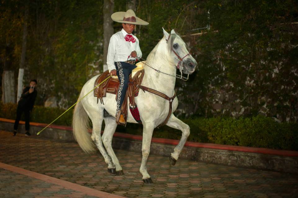 Rancho Caballerizas Texcoco