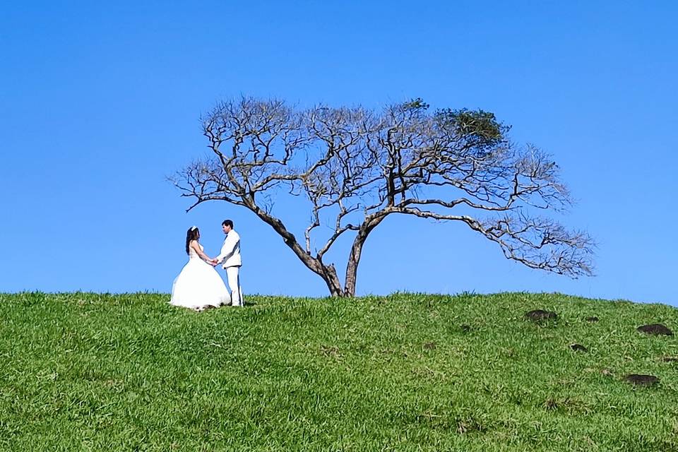 Trash the dress minimalista