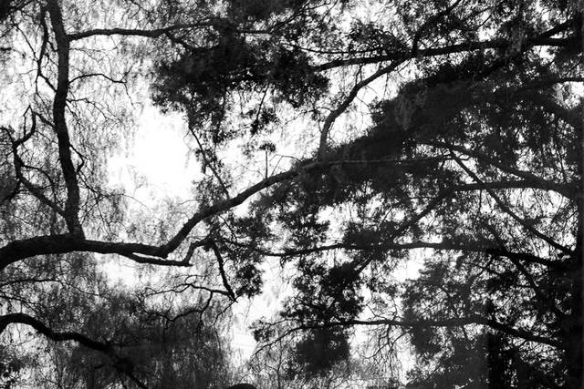 Caxapa Film