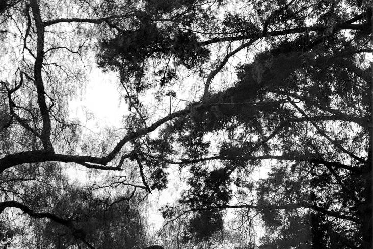 Caxapa Film