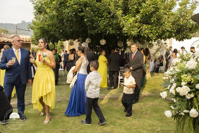 Rompe hielos en jardín
