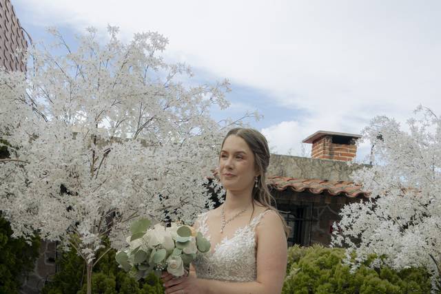 Novia en jardín